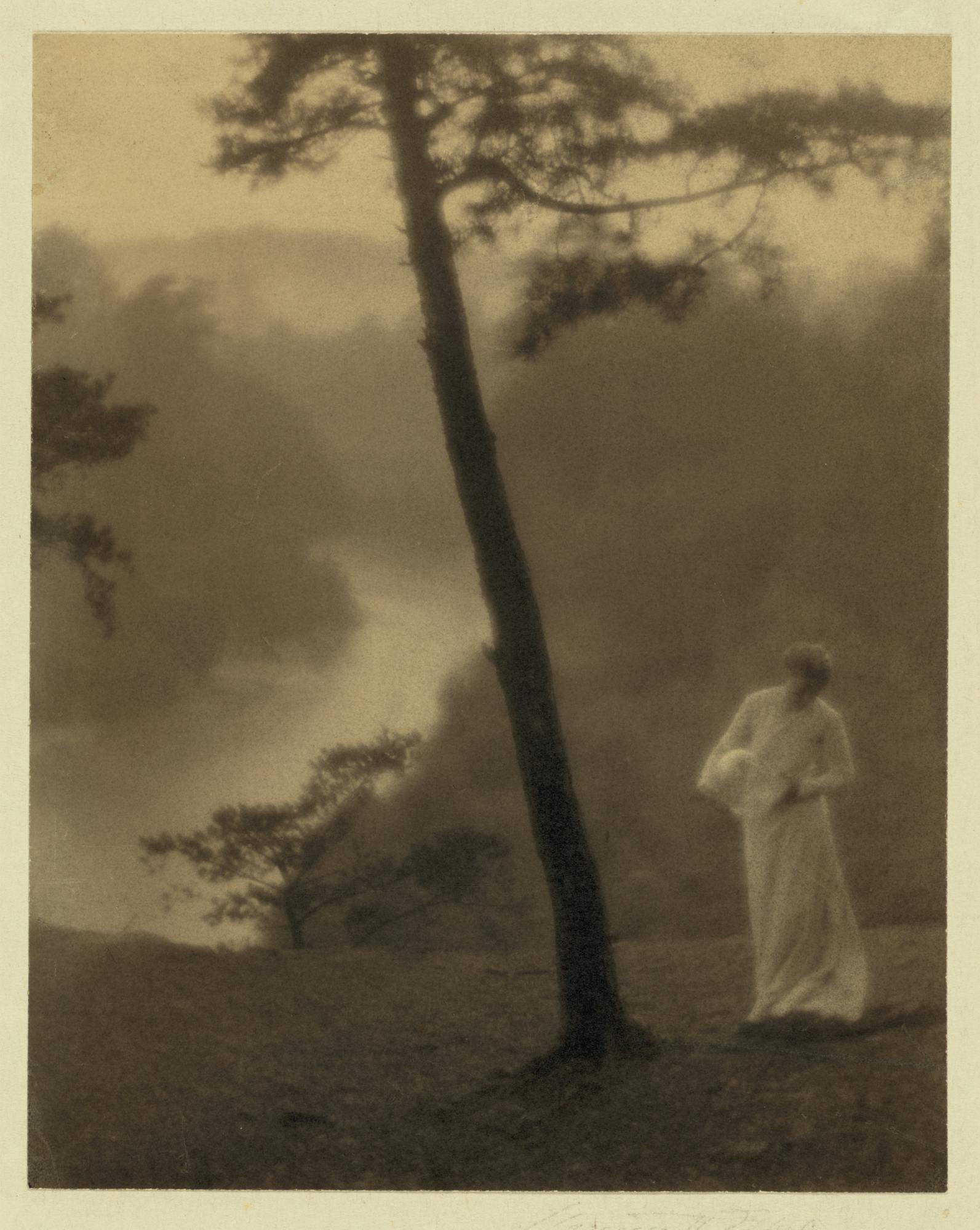 photo of a woman next to a tree above a river valley